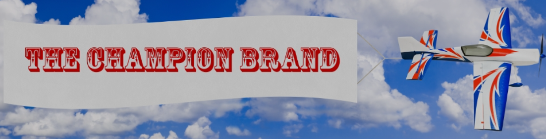 Why Your Business Needs A Brand Champion